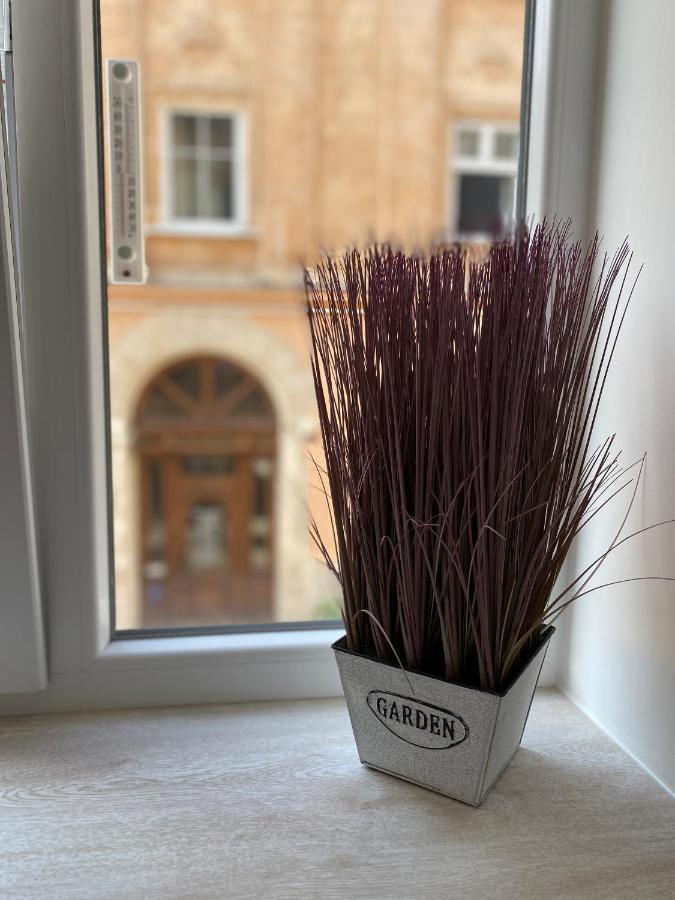 Homelike Apartment Lviv Bagian luar foto