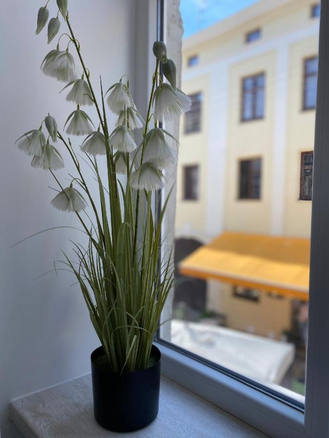 Homelike Apartment Lviv Bagian luar foto
